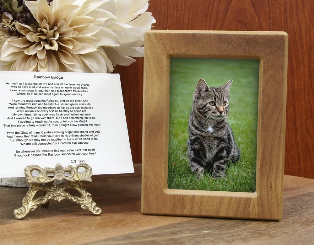 Cat Urns And Memorial Stones Photo Frame